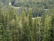 スパイラルトンネル　貨物列車がちょうど通過していました。