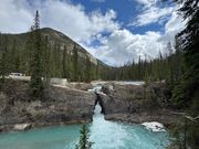 ナチュラルブリッヂ