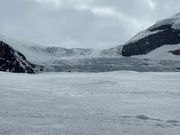 コロンビア大氷原