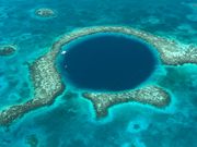 ブルーフォール