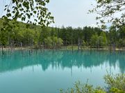 青い池