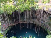 美しいセノーテ