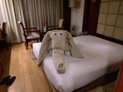 毎日、ベッドメイクが違う。