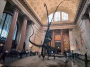 巨大な恐竜がお出迎え