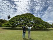 この木なんの木気になる木♪