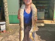 まさかのガイドさん乗せ仕事