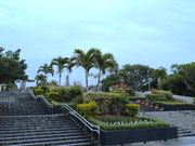 階段より風と緑が印象的。バスに戻る時間が近づいているのに、ずっと沖縄留まっていたい気持ちにさせられる