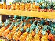 これでもか！のパインづくし。試食してから選んだつもりなのに、なぜか顔で選んでしまう。