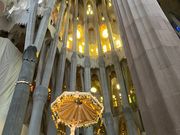 感激で泣けた🥲