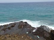 ハロナ潮吹き岩