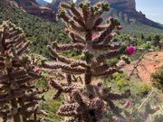 6月に行きました。日差しは強いので、帽子、日焼け止め、水を忘れないように