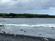 黒砂海岸とウミガメ！