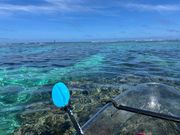 天気も良く宮古ブルーを満喫できました