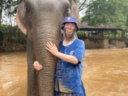 川で象さんを洗ってやったところです。