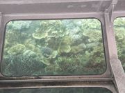 グラスボトムボート