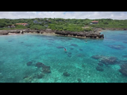 動画のスクショです