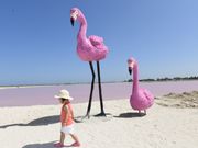 ピンクレイク　フラミンゴオブジェ