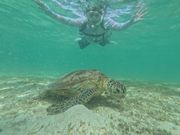 めちゃくちゃ近い！