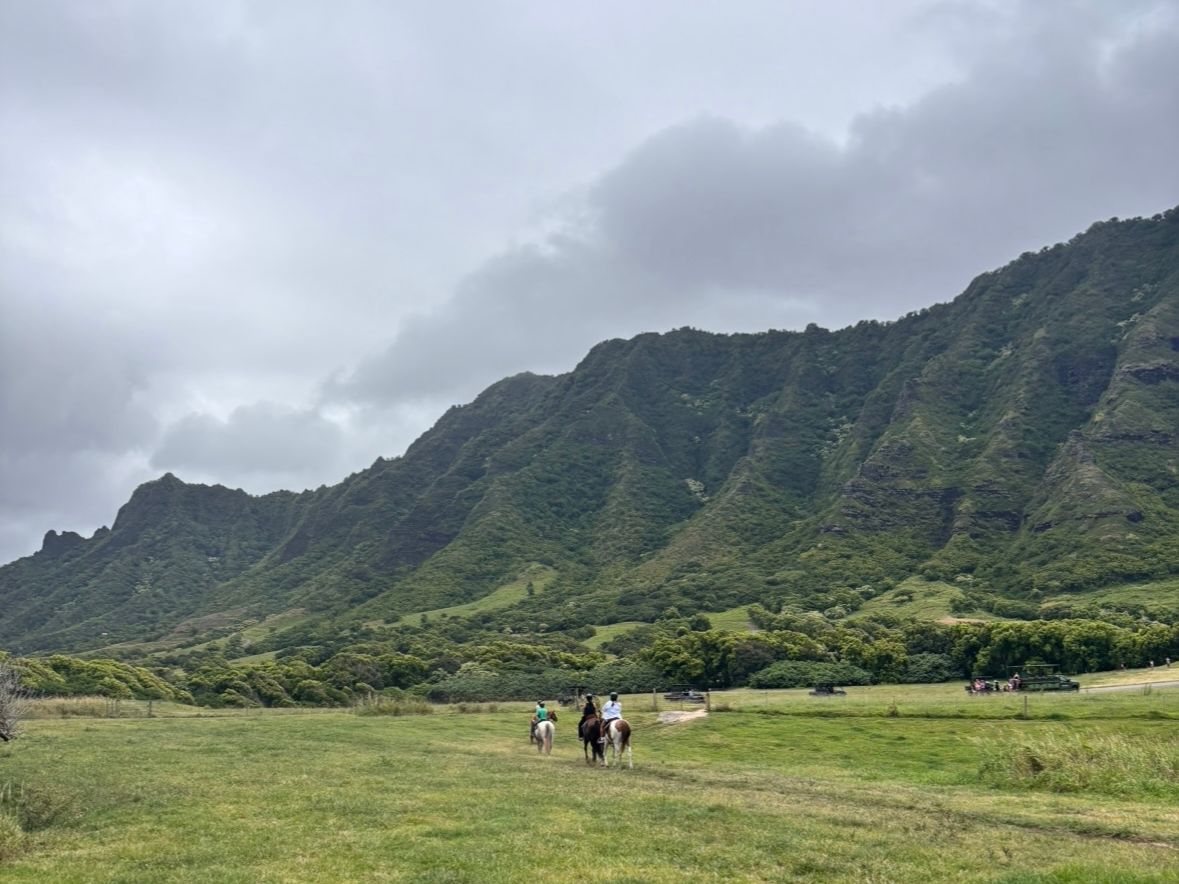 All Reviews) Page 5) Kualoa Ranch Jurassic Valley Tours (Top