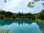 青い池。綺麗でした