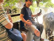 水牛と三線の歌と共に