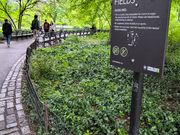 ジョンを偲んだストロベリーフィールズ（セントラルパーク）