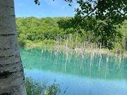 やっと実際に見れて感激〜！