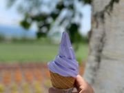 爽やかな香りときれいなパープル。美味しかったです。メロンパンも最高でした。