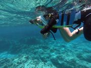 シュノーケリング