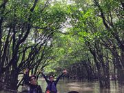 マングローブでのカヌー体験