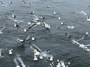 モグモグタイム