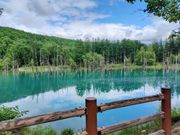 青い池（晴れてくれて綺麗に見えました✨）