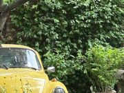 コーヒープリンスの撮影された所