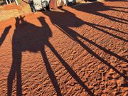 ラクダさんたちの影