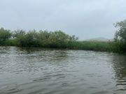天気が悪いのが残念な風景