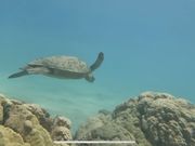 自身のgopro撮影