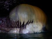 パンプキンホール