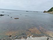 バスの車窓から