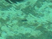 エメラルドバレー