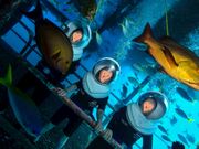 シーウォーカー