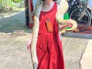 蛇と記念撮影させて頂きました