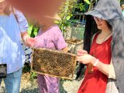 蜂の巣を持たせてくれる