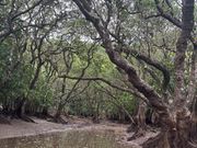 細いところは左側通行で