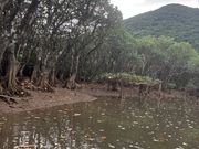 とにかく広く、浅瀬に乗りあげたり。