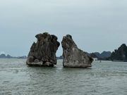 近くで見れました