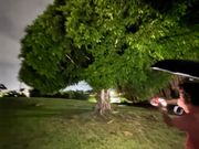 プロ級のカメラマンガイド！