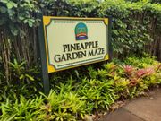 世界最大級迷路@ドールプランテーション