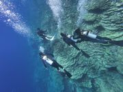 初心者2人はロープに捕まらせてもらい安心でした♪