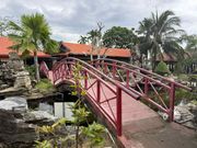 昼食レストラン