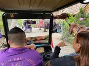 電動自動車で園内移動